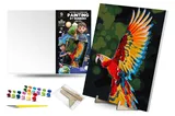 Kit for painting by numbers 30x40 cm QB900-085 "Flight of the Parrot" with a wooden stand qbee