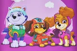 Paper package M QB004-104 "Puppy Patrol: Girls Team" r.27x33x11 cm qbee