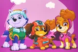 Paper package L QB004-204 "Puppy Patrol: Girls Team" r.31x42x12 cm qbee