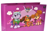 XL paper package QB004-304 "Pup Patrol: Girls Team" r.50x35x17 cm qbee