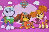 XL paper package QB004-304 "Pup Patrol: Girls Team" r.50x35x17 cm qbee